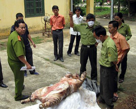 Không sử dụng các sản phẩm từ động, thực vật hoang dã nguy cấp, quý hiếm